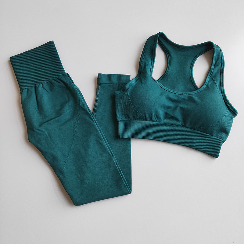 Hot Selling Sports Bra High-Elastic Two-Piece Fitness Yoga Suit.
